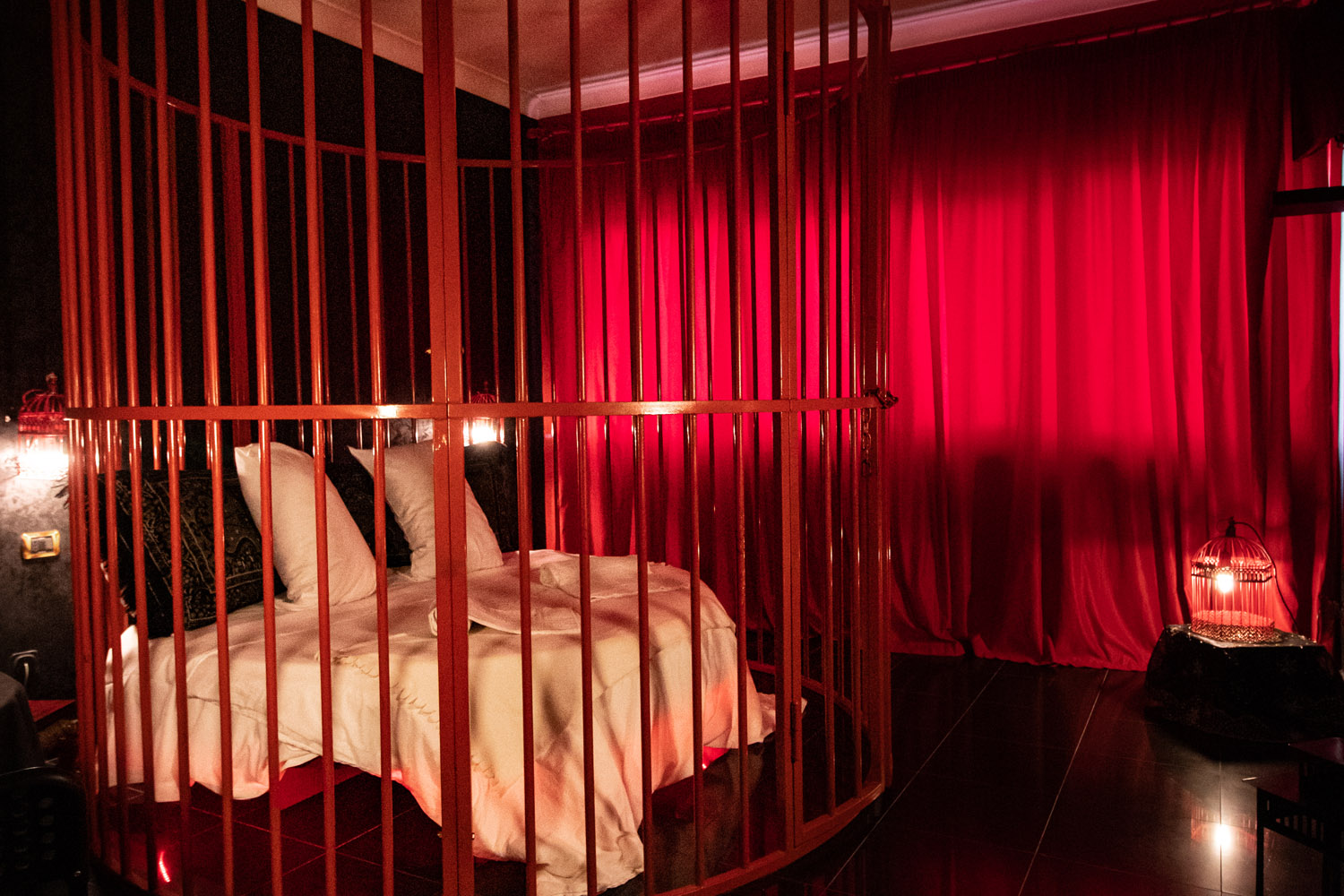 camera-cage-1-h